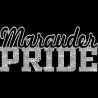 GLT59 SILVER GLITTER Thumbnail